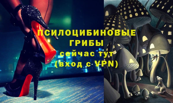 соль ск Алексин
