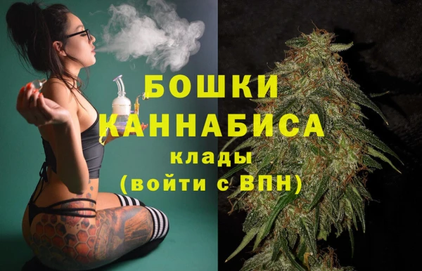 apvp Аркадак