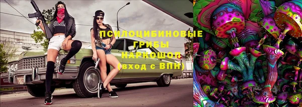 соль ск Алексин