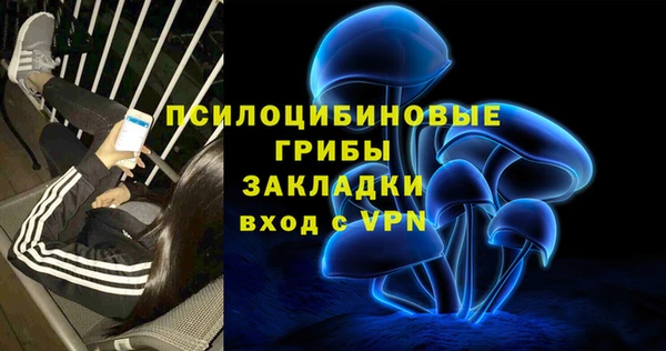 герыч Арсеньев